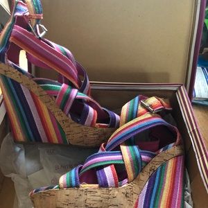 Rainbow Wedges